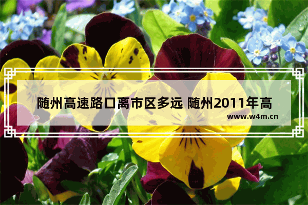 随州高速路口离市区多远 随州2011年高考分数线