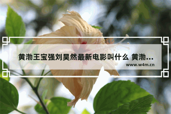 黄渤王宝强刘昊然最新电影叫什么 黄渤最新电影叫