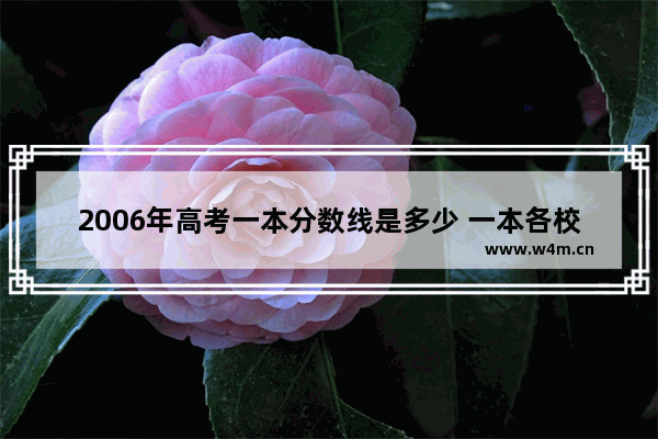 2006年高考一本分数线是多少 一本各校高考分数线