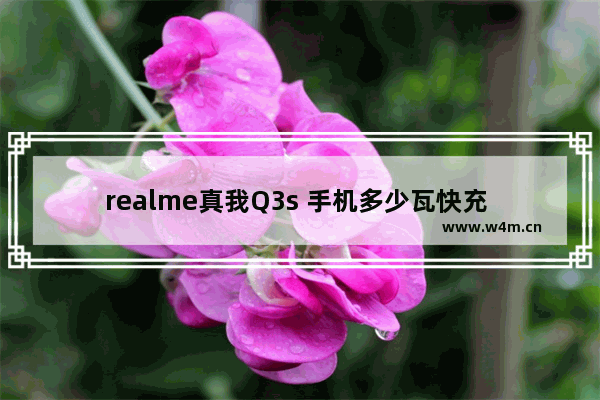 realme真我Q3s 手机多少瓦快充 方便携带大容量快充手机推荐