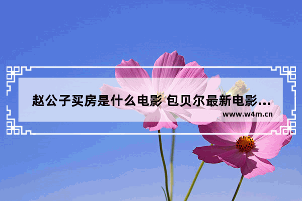 赵公子买房是什么电影 包贝尔最新电影大反派叫什么名字