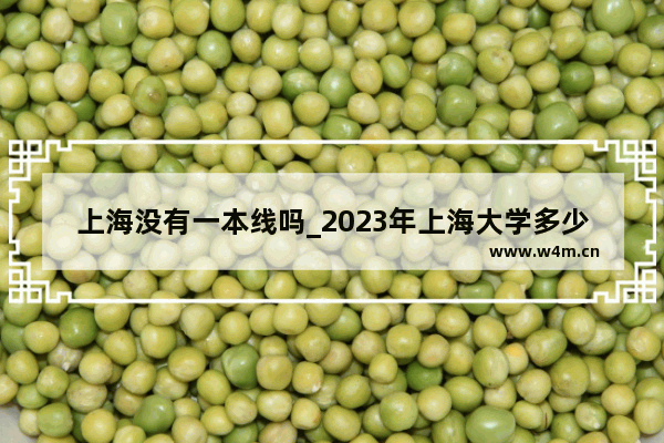 上海没有一本线吗_2023年上海大学多少分录取