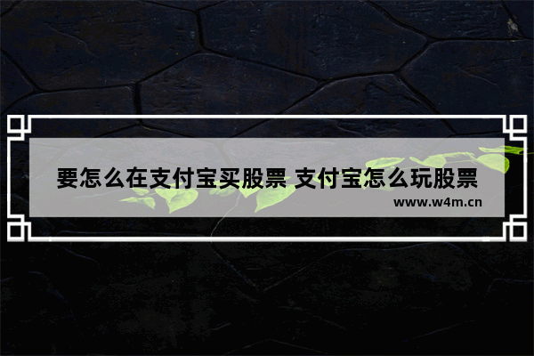 要怎么在支付宝买股票 支付宝怎么玩股票