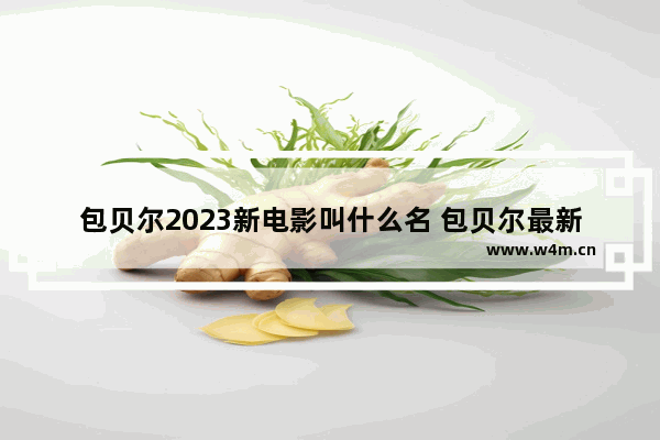 包贝尔2023新电影叫什么名 包贝尔最新电影叫什么犯罪电影啊