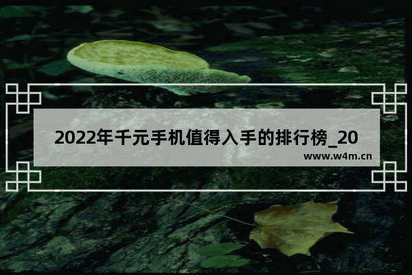 2022年千元手机值得入手的排行榜_2021公认的信号最强的千元手机