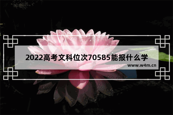 2022高考文科位次70585能报什么学校 铜陵职业学院高考分数线