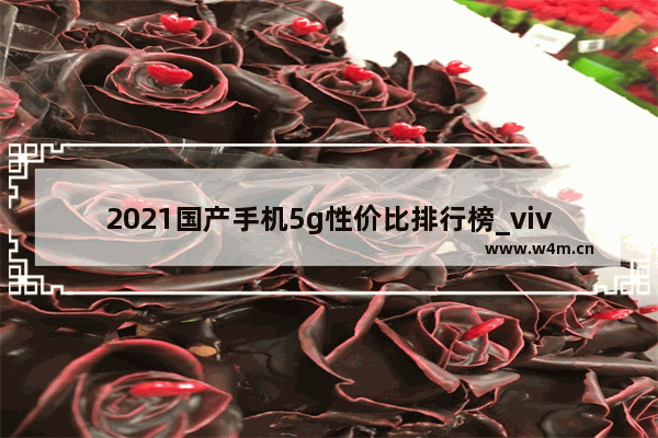 2021国产手机5g性价比排行榜_vivox90快速充电和超快充电区别