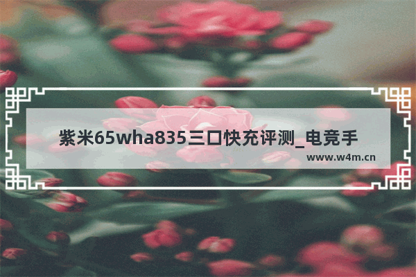 紫米65wha835三口快充评测_电竞手机推荐性价比高