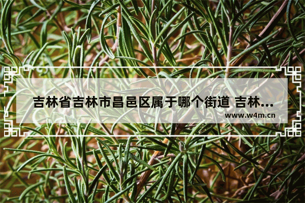 吉林省吉林市昌邑区属于哪个街道 吉林市通江街美食推荐