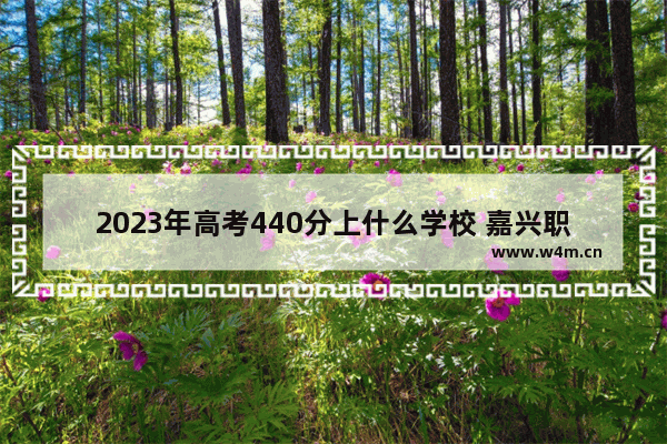 2023年高考440分上什么学校 嘉兴职业类高考分数线多少