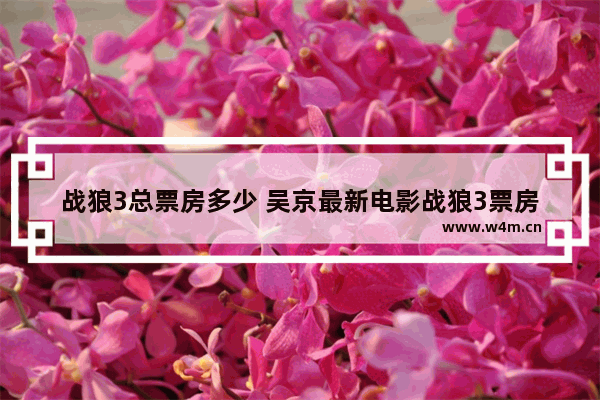 战狼3总票房多少 吴京最新电影战狼3票房多少亿元