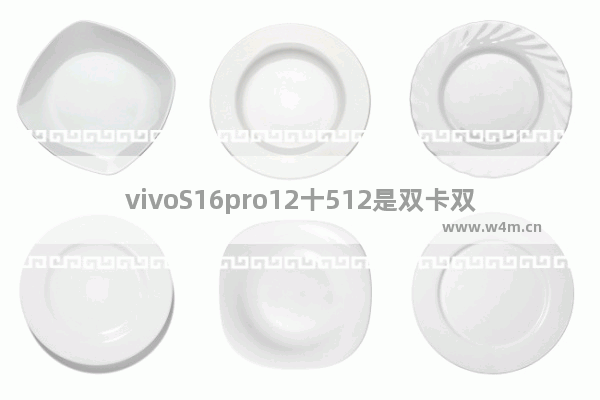 vivoS16pro12十512是双卡双待手机吗 双卡双待大容量电池手机推荐