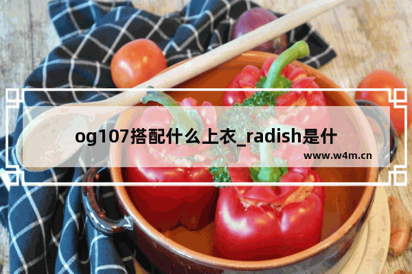 og107搭配什么上衣_radish是什么样的品牌