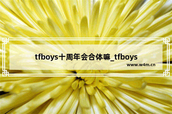 tfboys十周年会合体嘛_tfboys谁的粉丝多