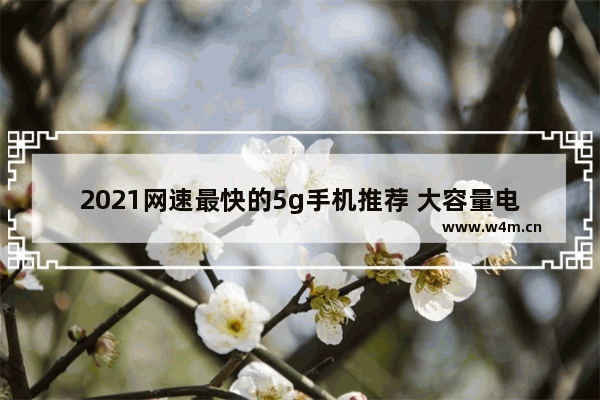 2021网速最快的5g手机推荐 大容量电池5g手机推荐哪款