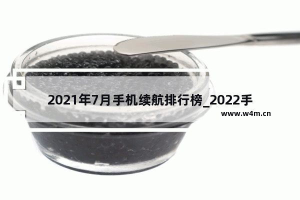 2021年7月手机续航排行榜_2022手机电池续航能力排名