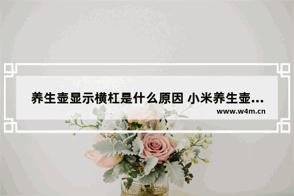 养生壶显示横杠是什么原因 小米养生壶屏幕显示三条杠故障