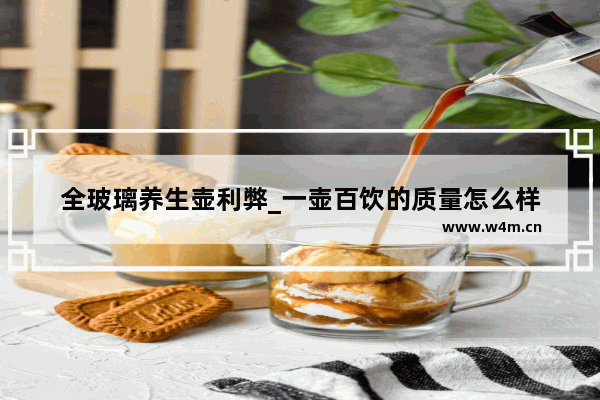 全玻璃养生壶利弊_一壶百饮的质量怎么样