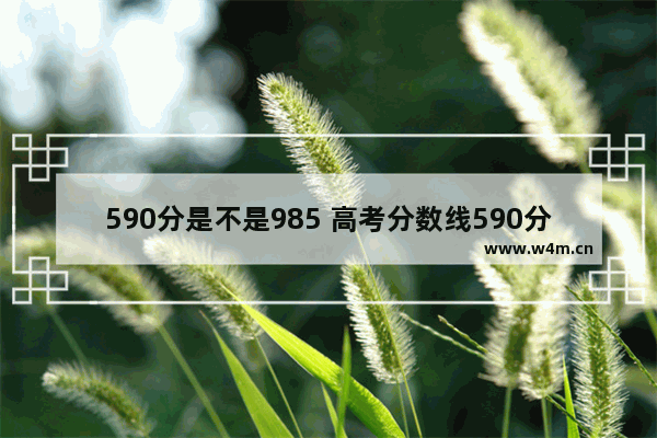 590分是不是985 高考分数线590分是多少