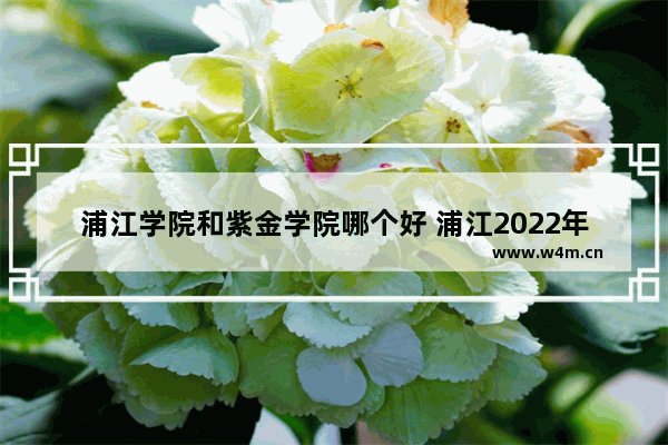 浦江学院和紫金学院哪个好 浦江2022年高考分数线