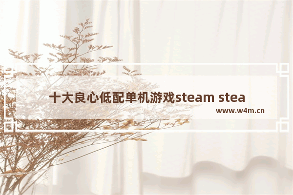 十大良心低配单机游戏steam steam免费游戏推荐休闲小游戏单机游戏