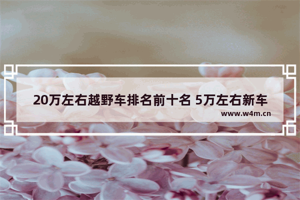 20万左右越野车排名前十名 5万左右新车推荐越野车型有哪些车