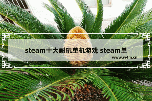 steam十大耐玩单机游戏 steam单机免费休闲小游戏推荐