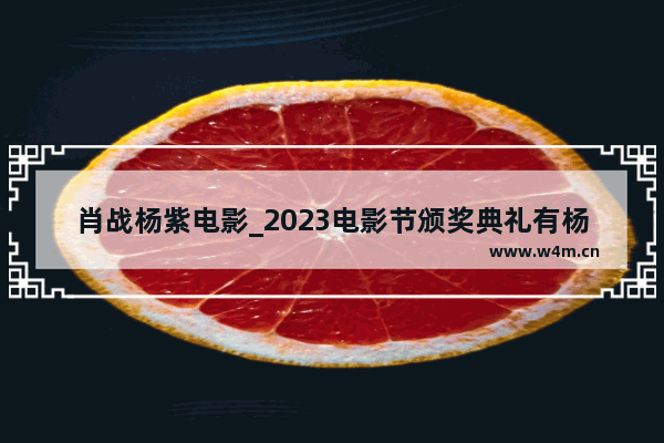 肖战杨紫电影_2023电影节颁奖典礼有杨紫吗