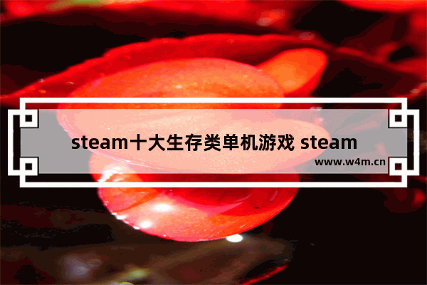 steam十大生存类单机游戏 steam单人游戏推荐小游戏