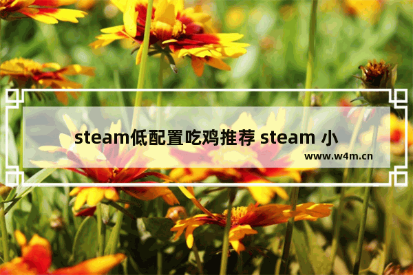 steam低配置吃鸡推荐 steam 小游戏推荐免费低配置