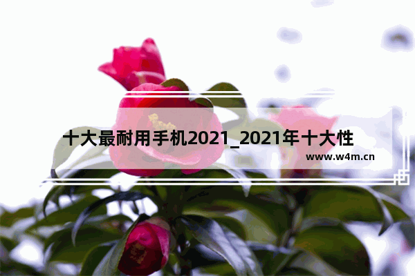 十大最耐用手机2021_2021年十大性价比最好的手机