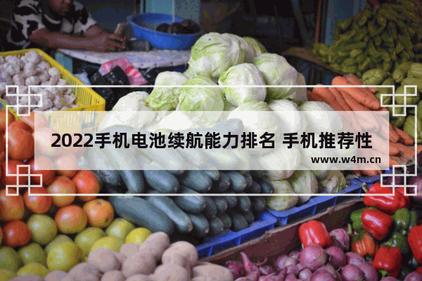 2022手机电池续航能力排名 手机推荐性价比高续航长