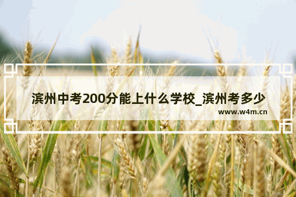 滨州中考200分能上什么学校_滨州考多少分能上一中