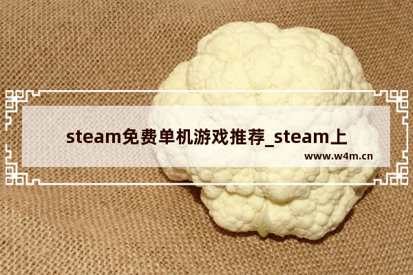 steam免费单机游戏推荐_steam上好玩的免费游戏低配版