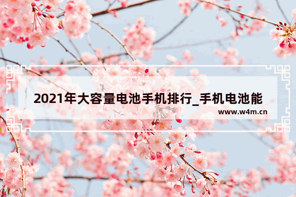 2021年大容量电池手机排行_手机电池能更换大毫安的吗