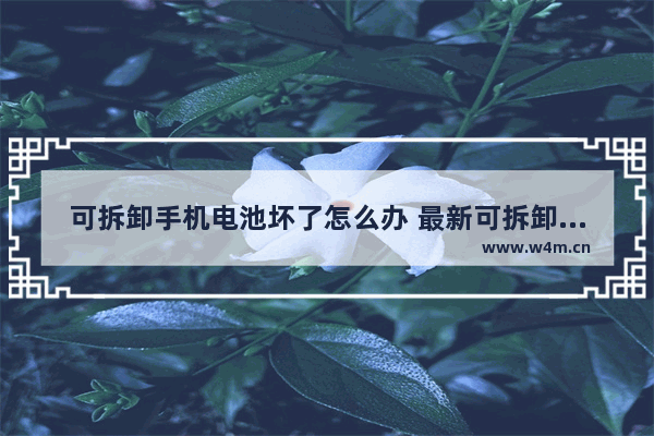 可拆卸手机电池坏了怎么办 最新可拆卸手机电池手机推荐