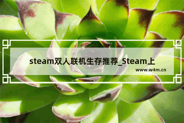 steam双人联机生存推荐_Steam上有什么好玩的双人游戏吗