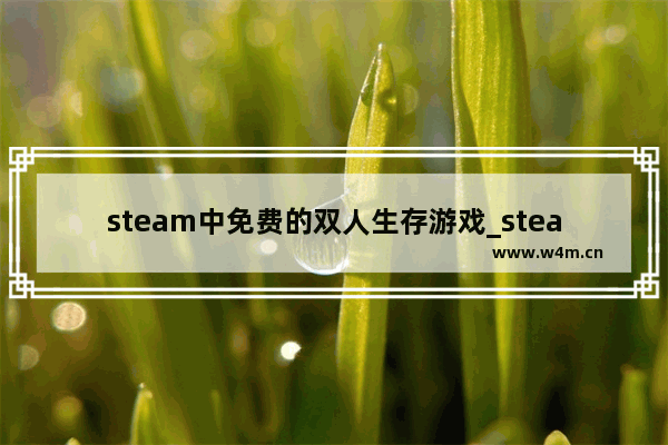 steam中免费的双人生存游戏_steam双人联机必买游戏排行榜