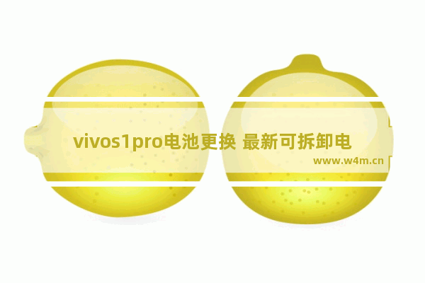 vivos1pro电池更换 最新可拆卸电池智能手机推荐