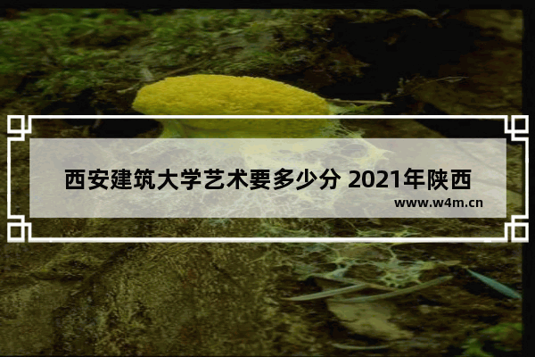 西安建筑大学艺术要多少分 2021年陕西高考分数线艺术