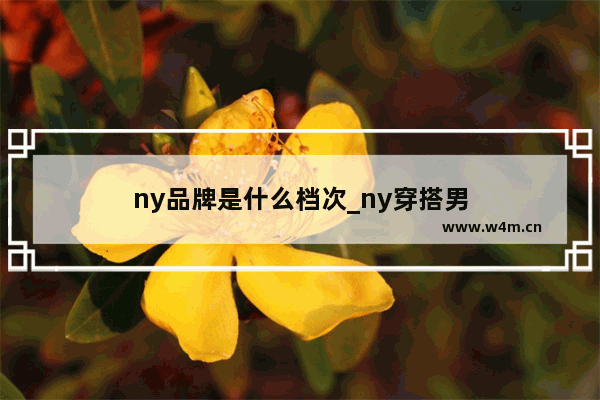 ny品牌是什么档次_ny穿搭男