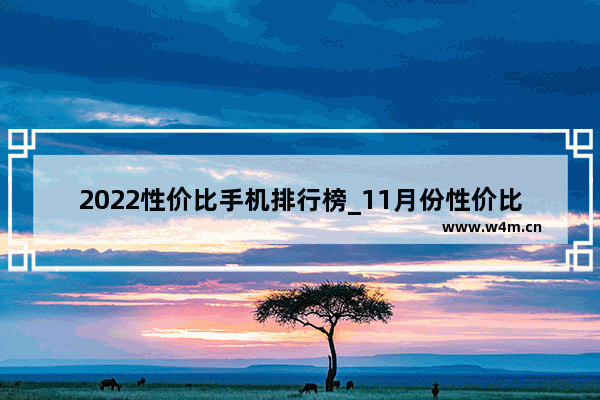 2022性价比手机排行榜_11月份性价比手机排行榜