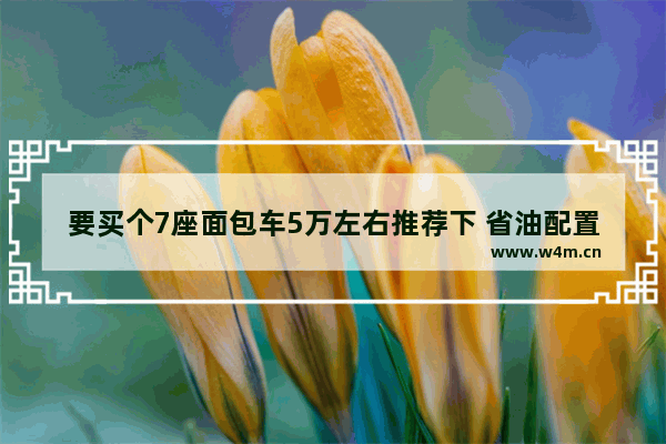 要买个7座面包车5万左右推荐下 省油配置高 五万左右7座车新车推荐哪款好开