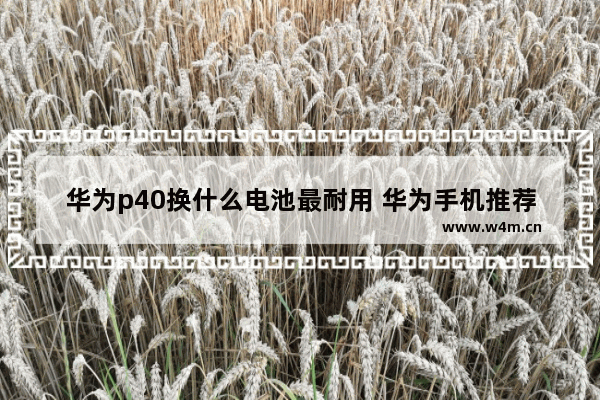 华为p40换什么电池最耐用 华为手机推荐性价比高电池容量大