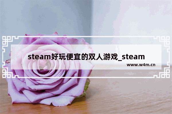 steam好玩便宜的双人游戏_steam上有哪些好玩的游戏可以双人本地玩