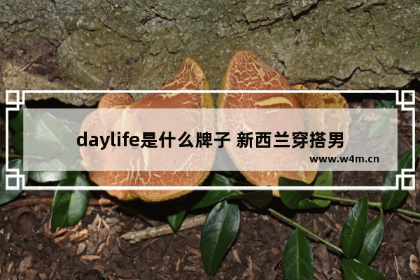 daylife是什么牌子 新西兰穿搭男