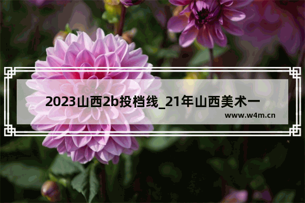 2023山西2b投档线_21年山西美术一本分数线