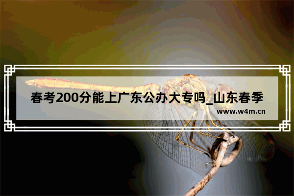 春考200分能上广东公办大专吗_山东春季高考医学类可以填报自愿的有哪些专业