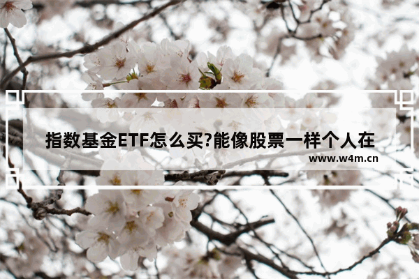 指数基金ETF怎么买?能像股票一样个人在网上交易吗_个人怎么买股票