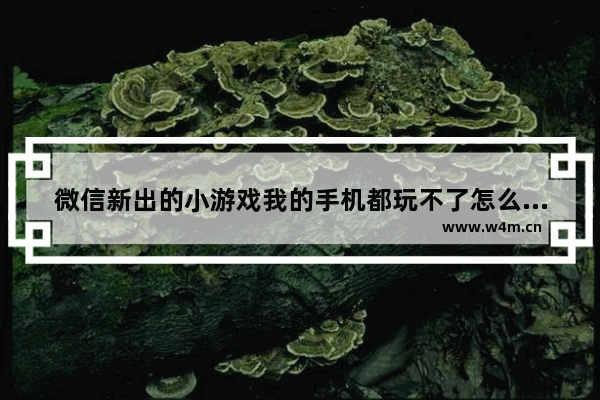 微信新出的小游戏我的手机都玩不了怎么回事三 微信小游戏推荐最火游戏